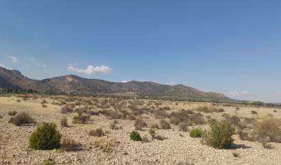 Sale - Land - Salinas