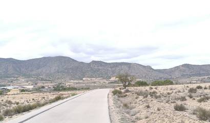 Sale - Land - Salinas