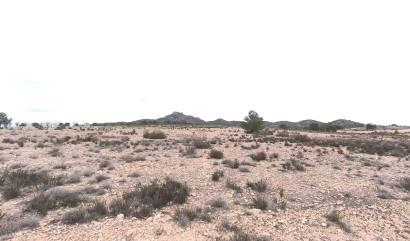 Sale - Land - Salinas