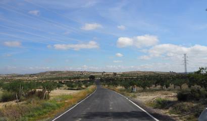 Sale - Land - San Miguel de Salinas - Torremendo