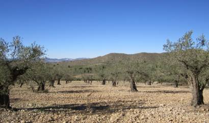 Sale - Land - Villena