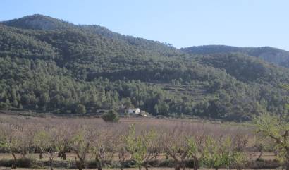Sale - Land - Villena