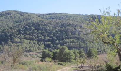 Sale - Land - Villena