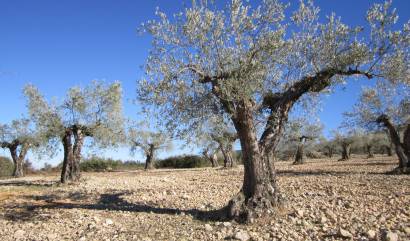Sale - Land - Villena