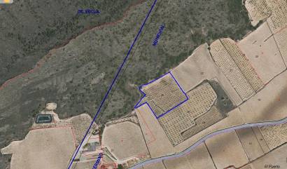 Sale - Land - Villena