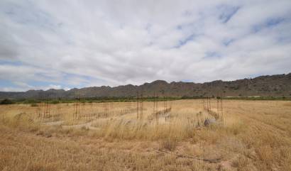 Sale - Land - Yecla