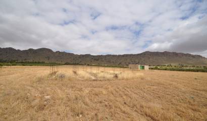 Sale - Land - Yecla