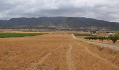Sale - Land - Yecla