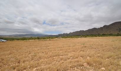 Sale - Land - Yecla