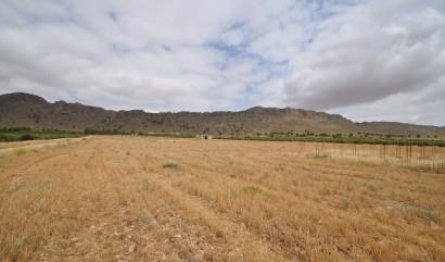 Sale - Land - Yecla