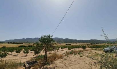 Sale - Land - Yecla