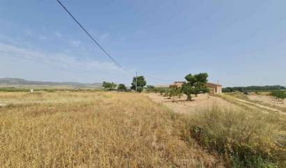 Sale - Land - Yecla