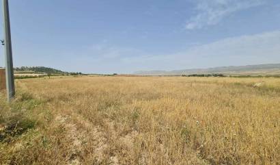 Sale - Land - Yecla