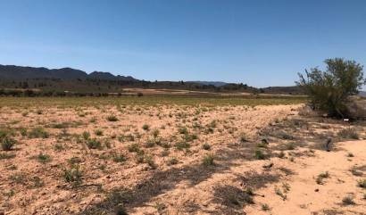 Sale - Land - Yecla