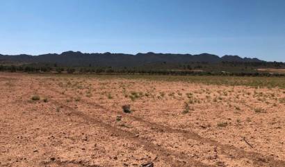 Sale - Land - Yecla