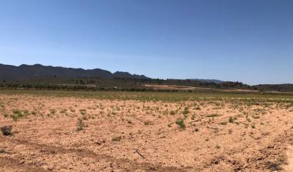 Sale - Land - Yecla