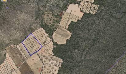 Sale - Land - Yecla