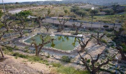 Sale - Villa - Abanilla