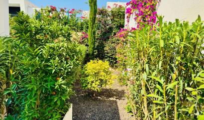 Sale - Villa - Algorfa - La Finca Golf