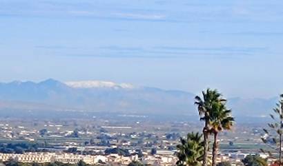 Sale - Villa - Algorfa - Lomas de Juliana