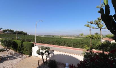 Sale - Villa - Algorfa