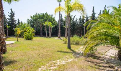 Sale - Villa - Ciudad Quesada