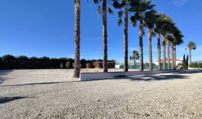 Sale - Villa - El Mudamiento