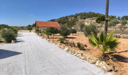 Sale - Villa - La Zarza