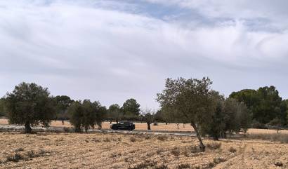 Sale - Villa - Monovar