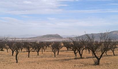 Sale - Villa - Monovar