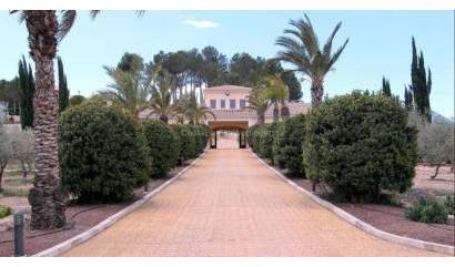 Sale - Villa - Penàguila
