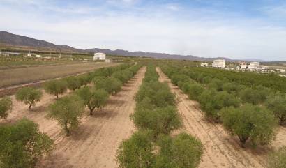 Sale - Villa - Pinoso