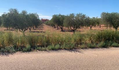 Sale - Villa - Pinoso