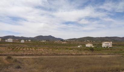 Sale - Villa - Pinoso