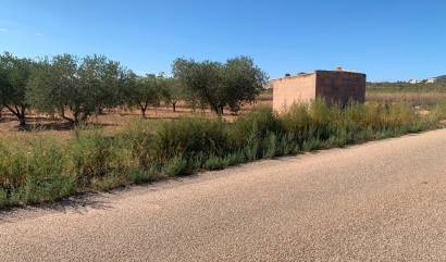 Sale - Villa - Pinoso