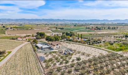 Sale - Villa - Puerto Lumbreras - Esparragal de Puerto Lumbreras