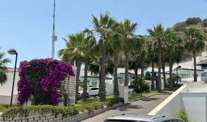 Sale - Villa - San Miguel de Salinas - San Miguel Salinas