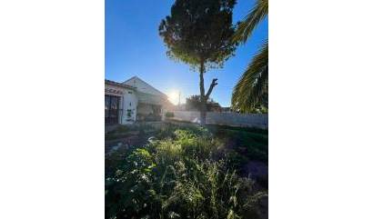 Sale - Villa - Torrevieja - Aguas Nuevas