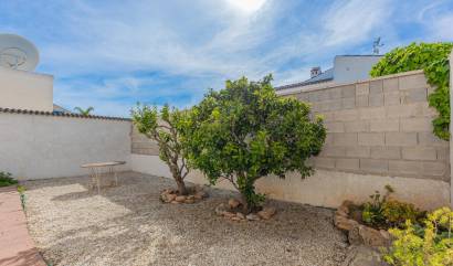 Sale - Villa - Torrevieja - El chaparral