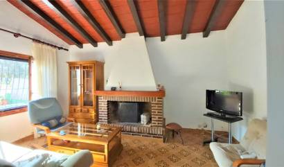 Sale - Villa - Torrevieja