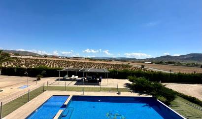 Sale - Villa - Yecla