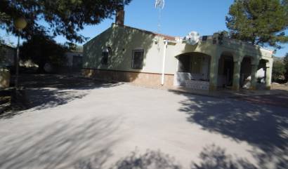 Sale - Villa - Yecla