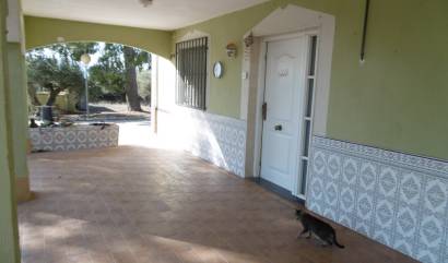 Sale - Villa - Yecla