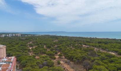 Venta - Apartment - Guardamar del Segura - CENTRO