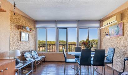 Venta - Apartment - Guardamar del Segura - Urb. pinomar