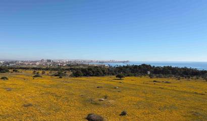 Venta - Apartment - Orihuela Costa - Punta Prima