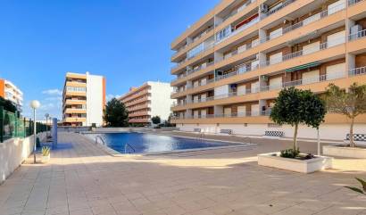 Venta - Apartment - Orihuela Costa - Punta Prima