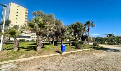Venta - Apartment - Torrevieja - Cabo Cervera