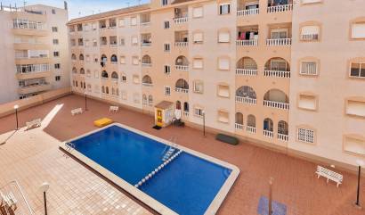 Venta - Apartment - Torrevieja - Estacion de autobuses