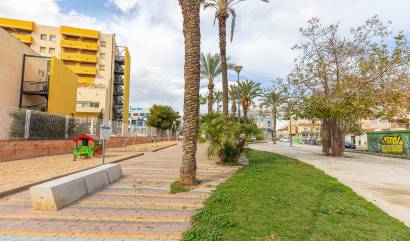 Venta - Apartment - Torrevieja - Estacion de autobuses